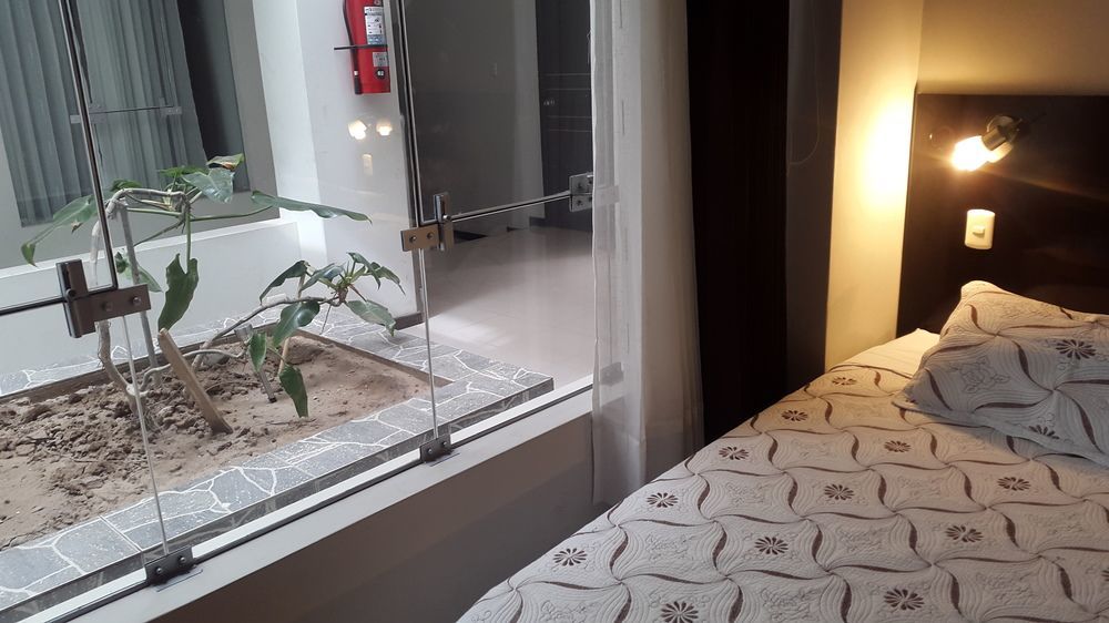 La Lisera Suite Residencial Tacna Dış mekan fotoğraf